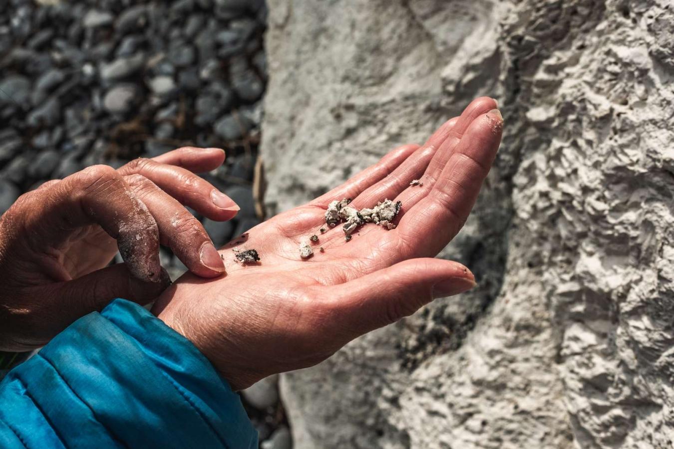 på fossiljagt! | Sydsjælland