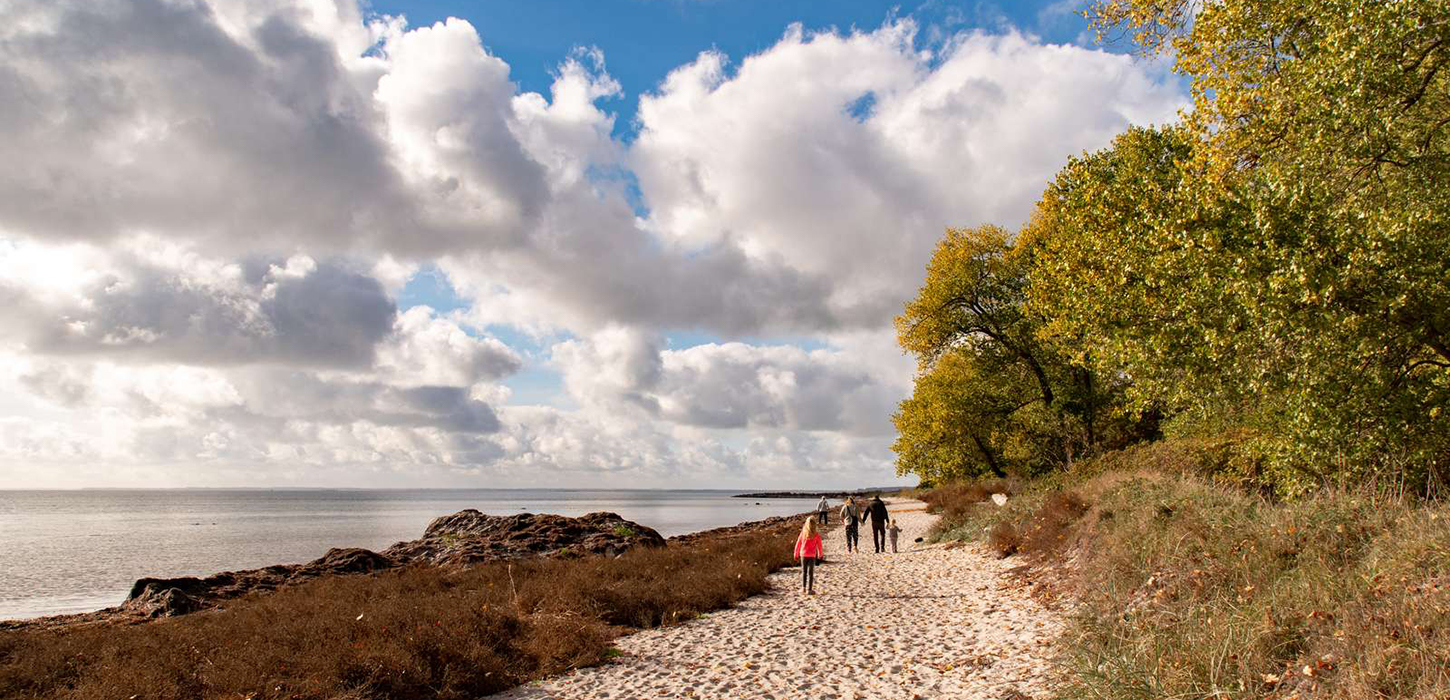 Sydsjælland & Møns dejlige strande | Sydsjælland & Møn