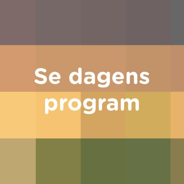 Turismekonferencen program baggrund