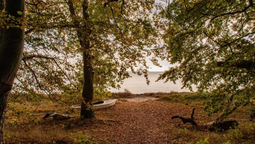 Forår ved Vemmetofte Strand