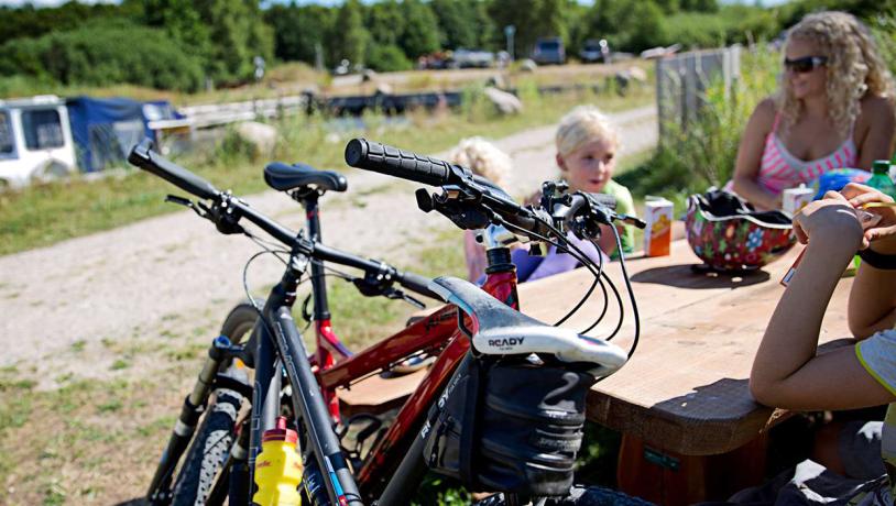 Feddet Strand Resort cykelferie familie