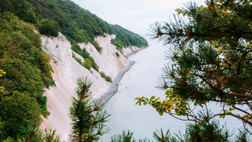 Møns Klint