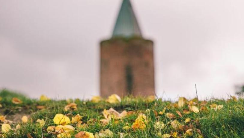 Gåsetårnet
