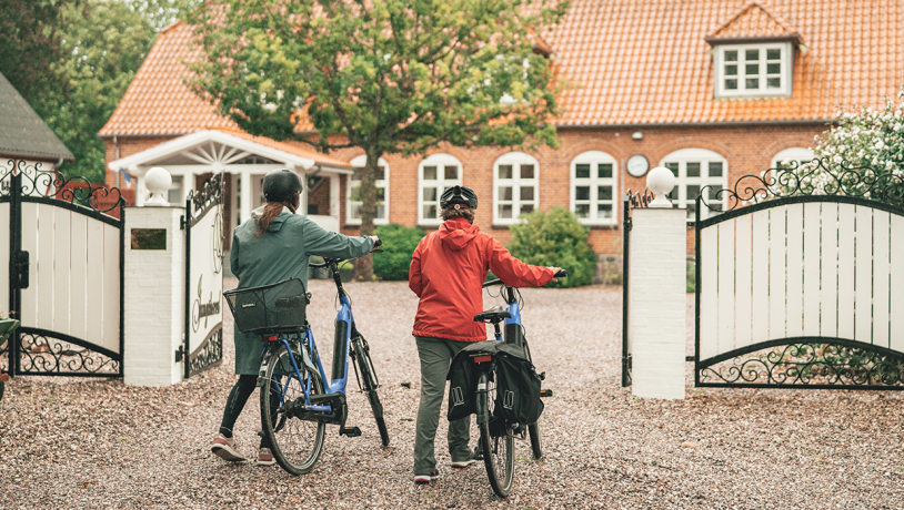 projekt - international markedsføring