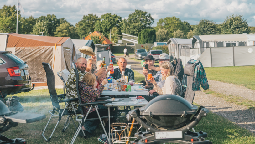 De Hvide Svaner Camping