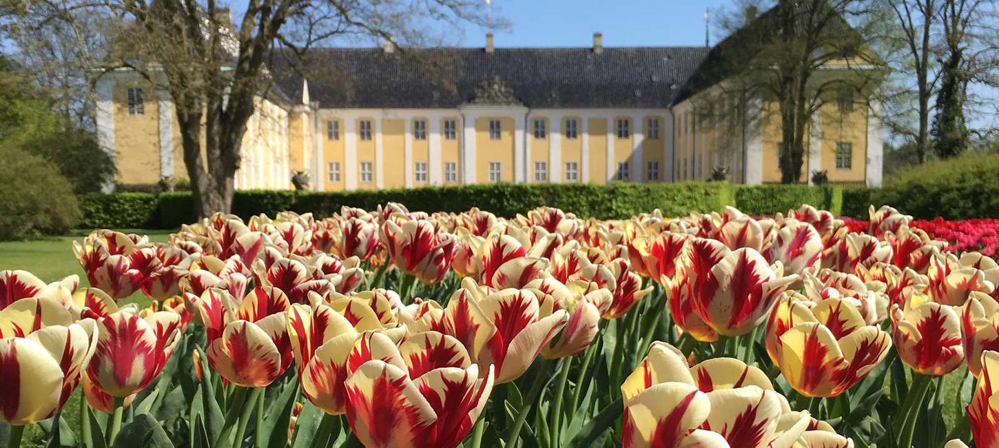 Gavnø Slot Tulipanfestival