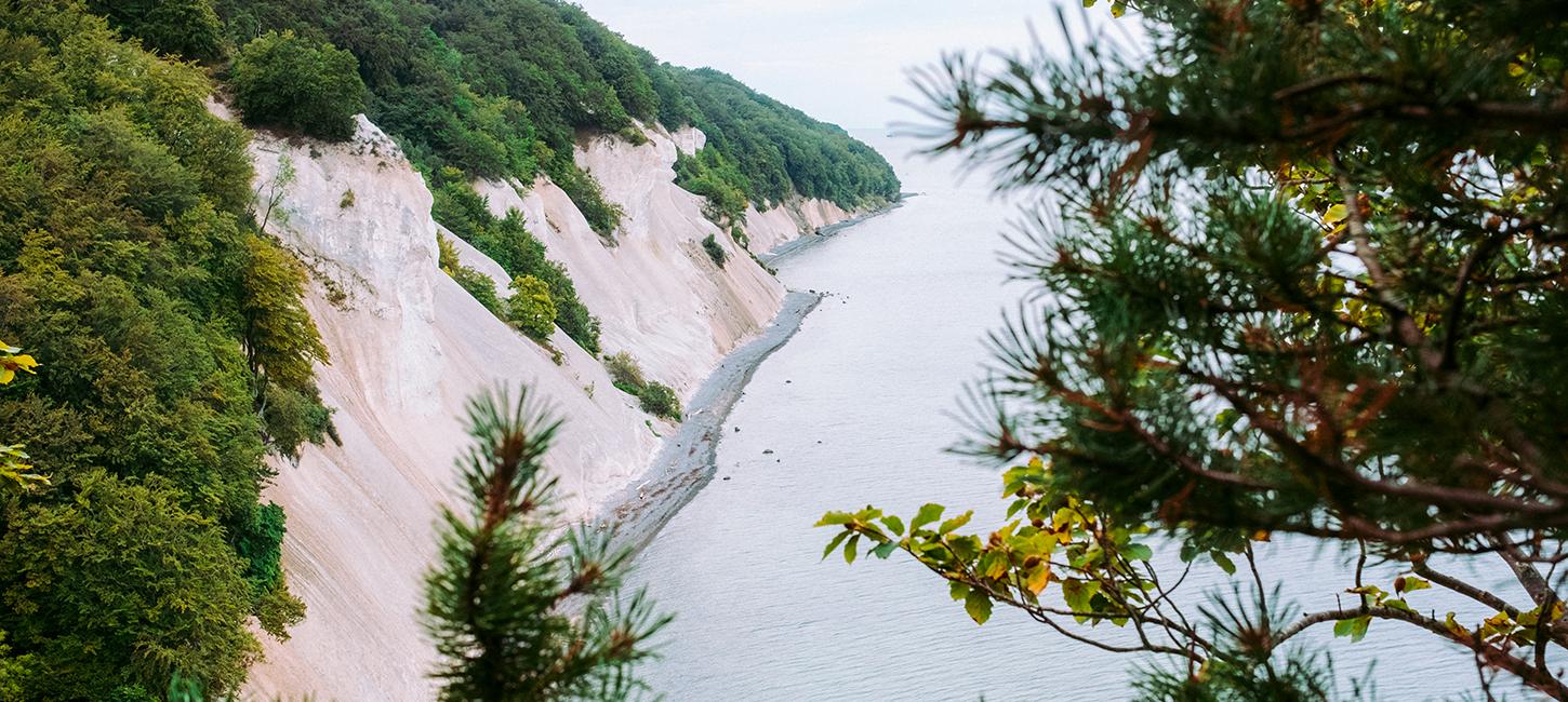 Møns Klint