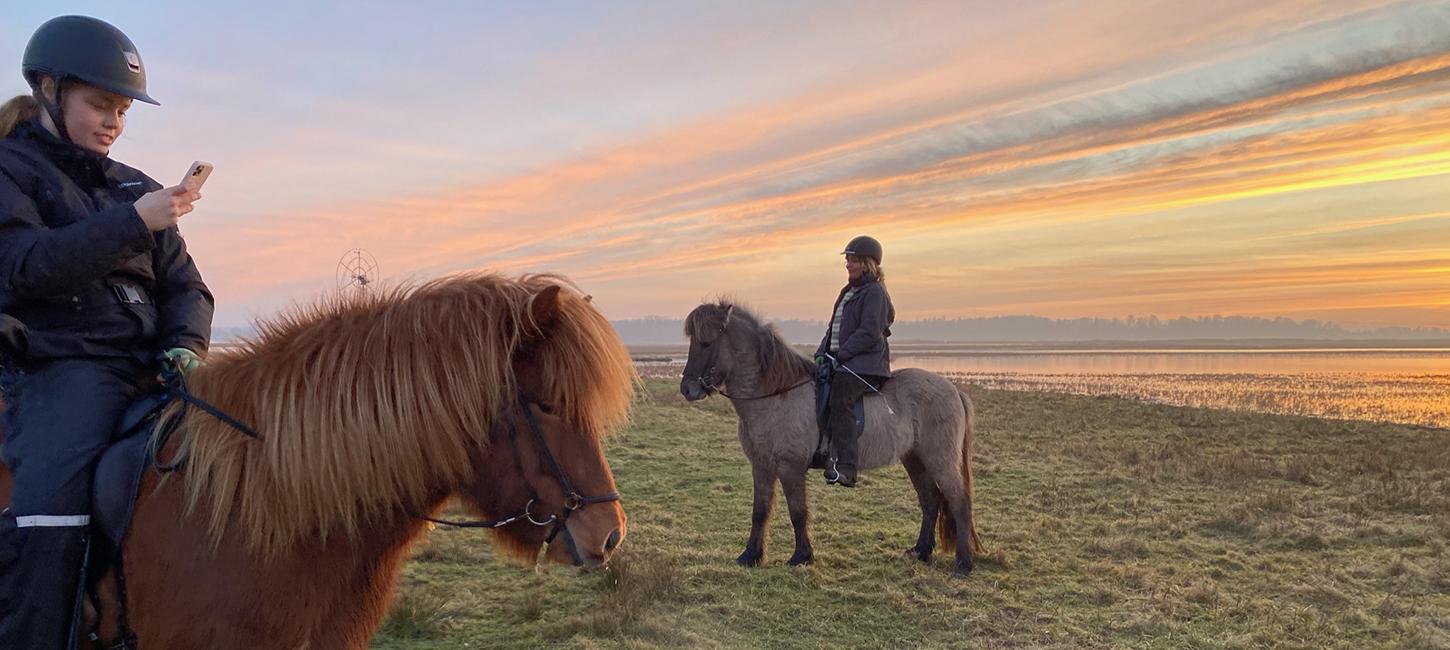 Turridning på Feddet med Guldhest