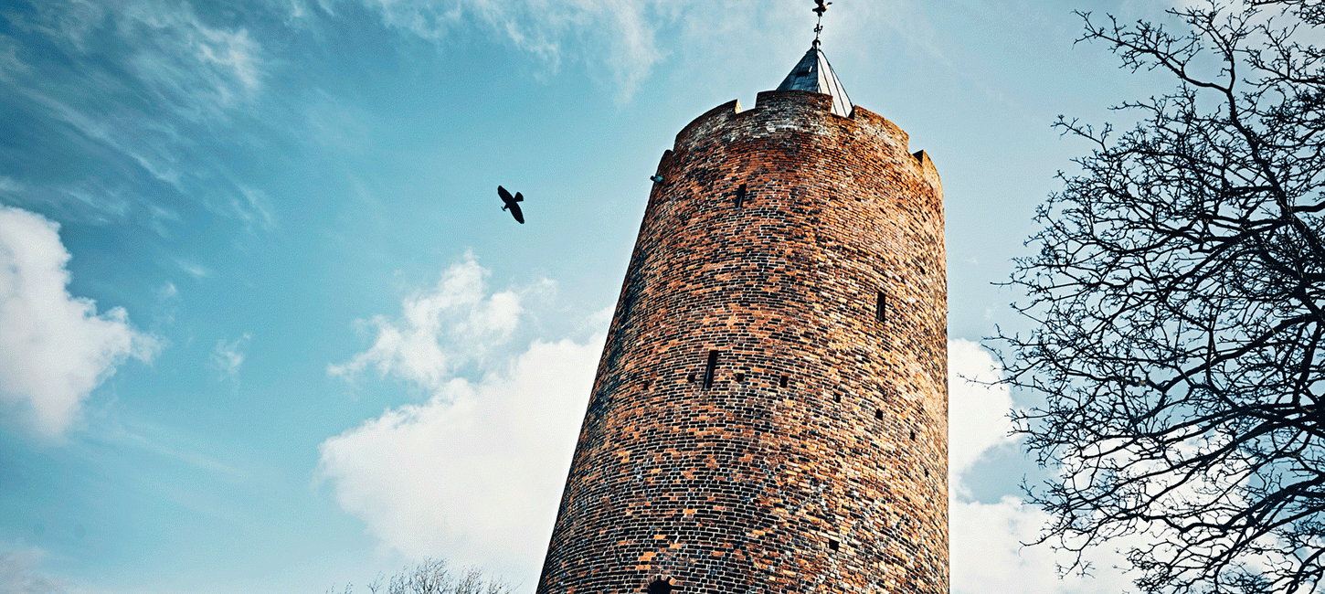 Gåsetårnet