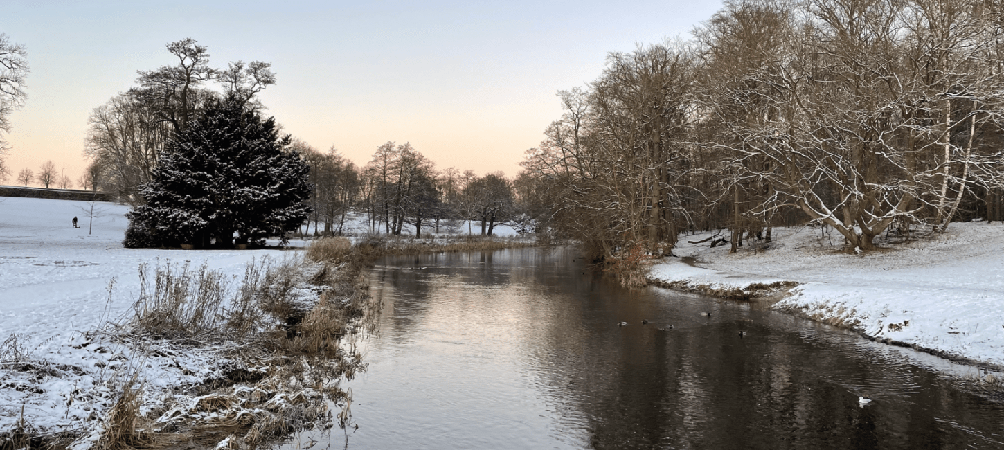 Vinter ved Susåen i Næstved