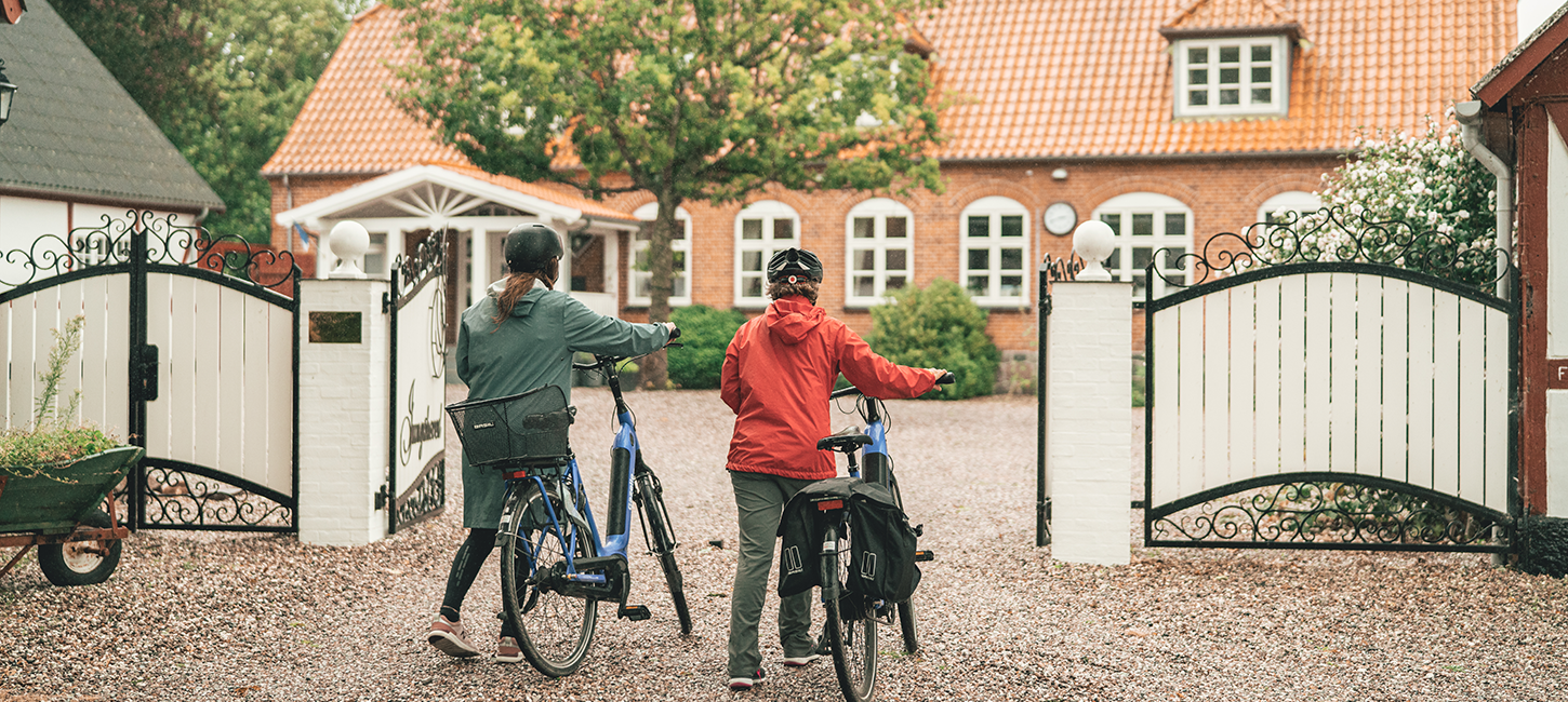 projekt - international markedsføring