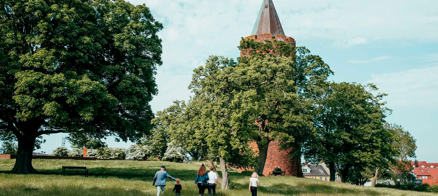 Danmarks Borgcenter