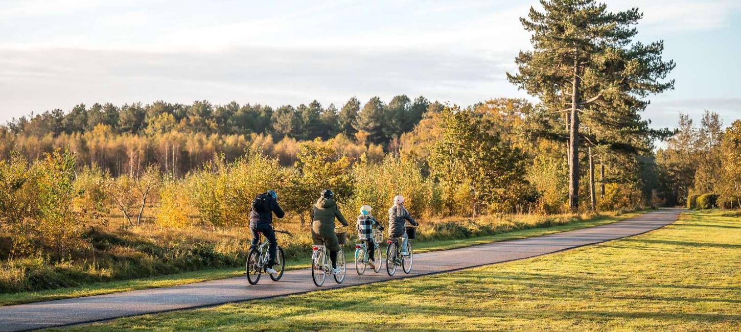 Cykkelnettet