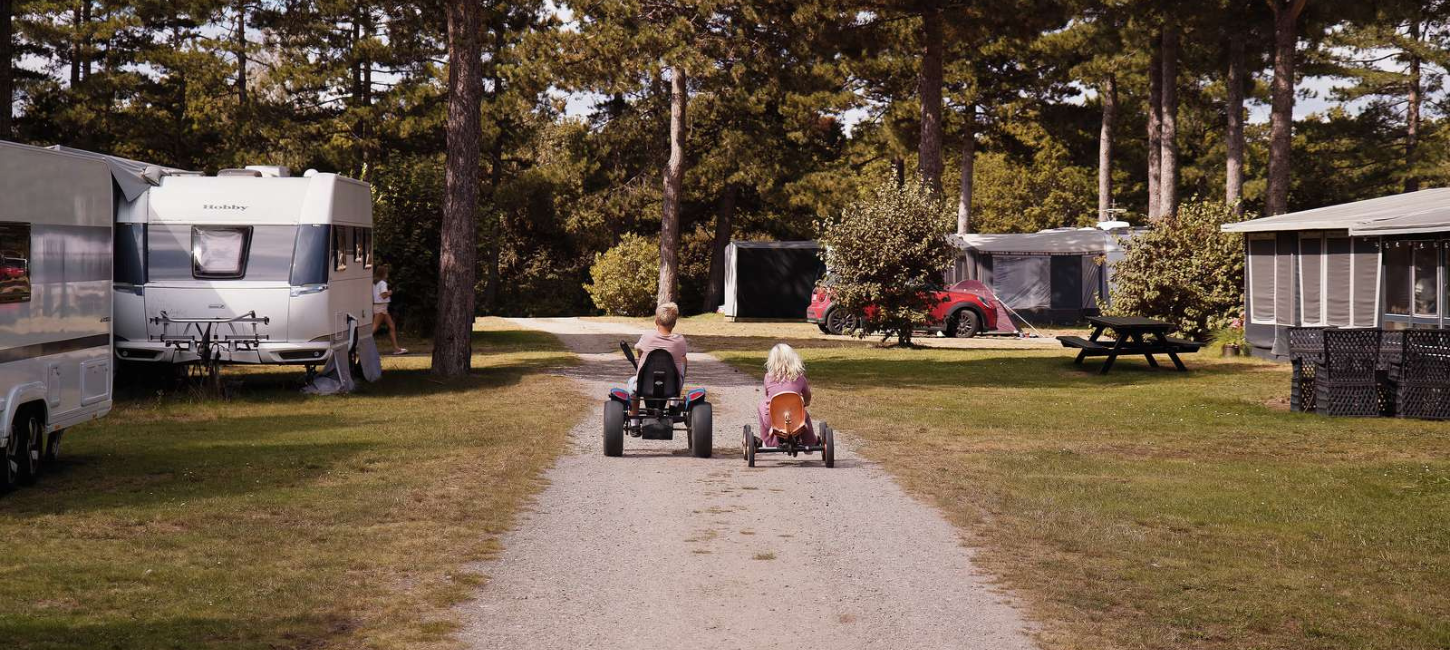 Feddet Strand Resort camping