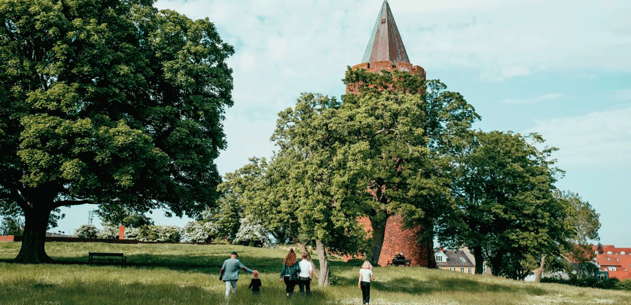 Gåsetårnet