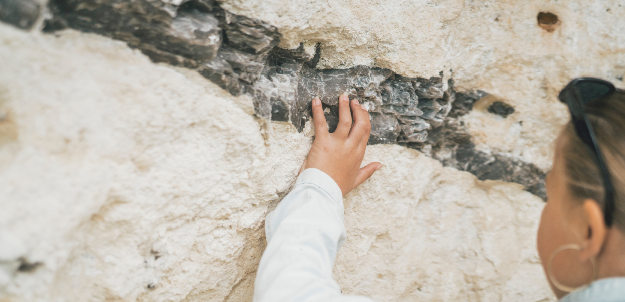 Stevns Klint fiskeler