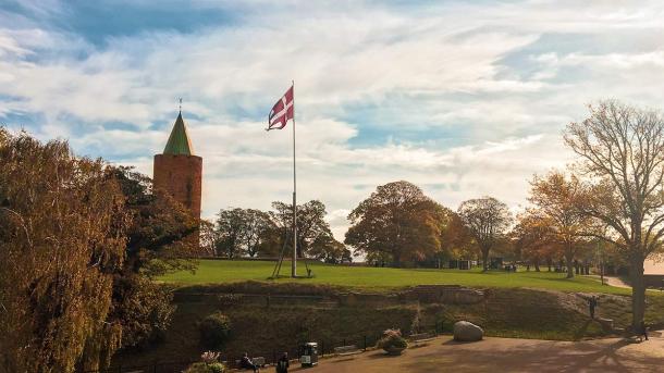 Danmarks Borgcenter - nyt flag, Dannebrog