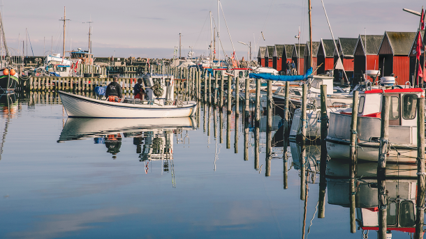 Rødvig havn
