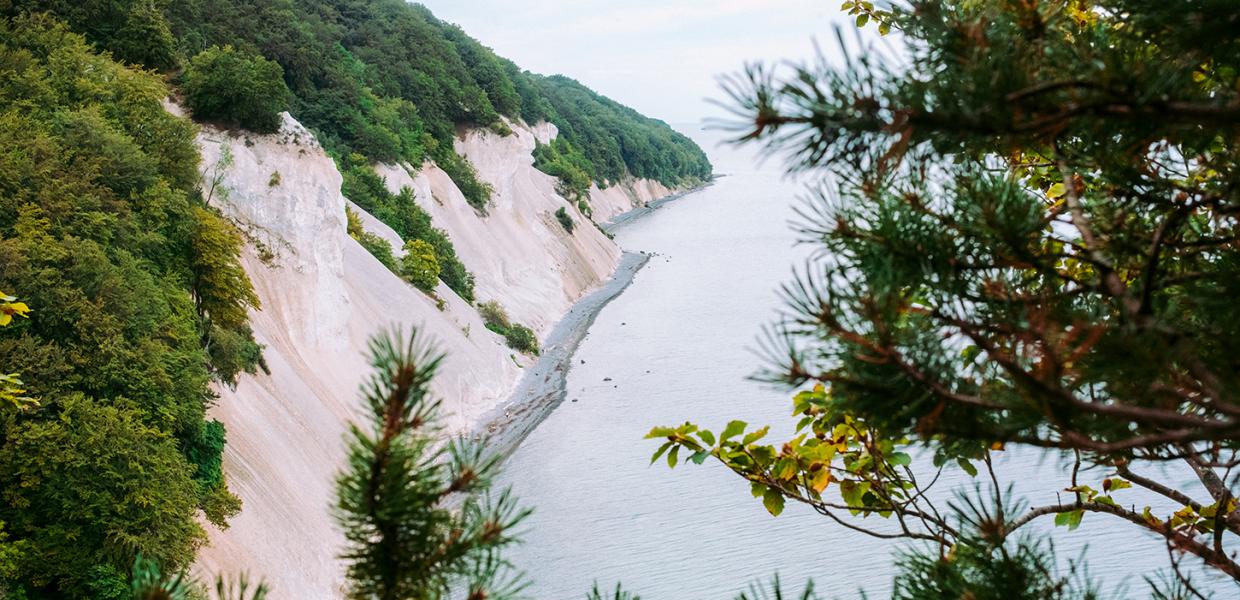 Møns Klint