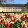 Gavnø Slot Tulipanfestival