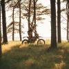 Feriepiloterne - motorcross