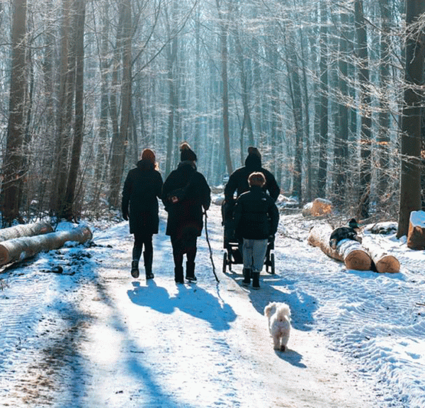 Fanefjord skov vinter