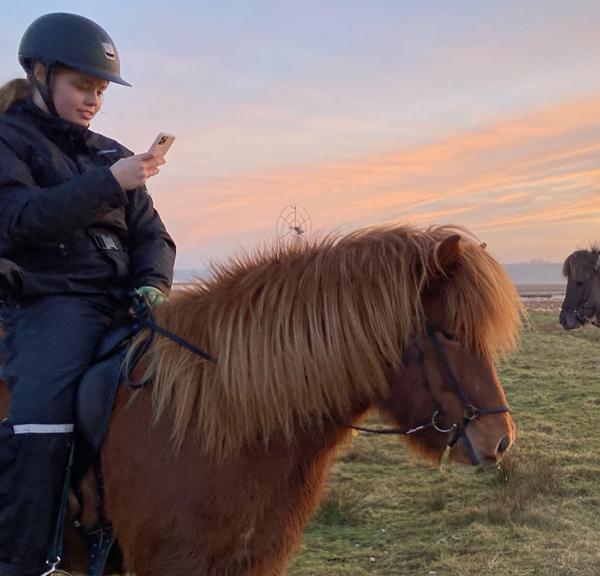 Turridning på Feddet med Guldhest