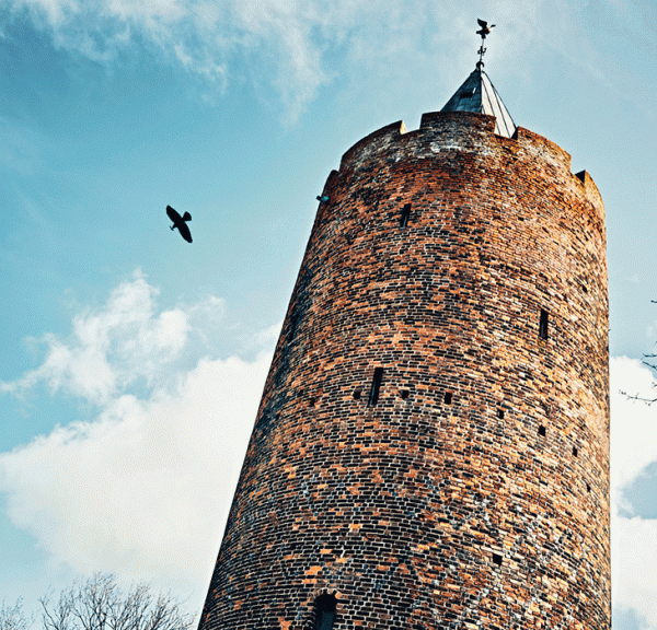 Gåsetårnet