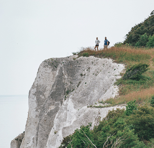 Vandring Møns Klint