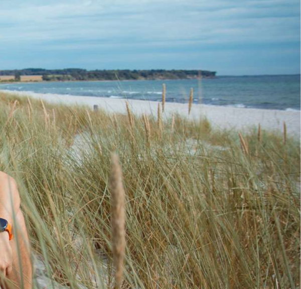 Feddet Strand 2025