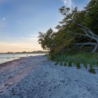 Strandskoven Sibirien - Faxe Ladeplads