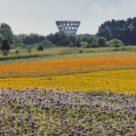 Camp Adventure - blomstermark