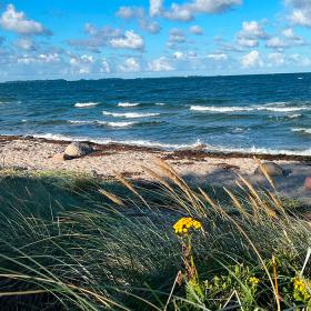 Svinø Strand