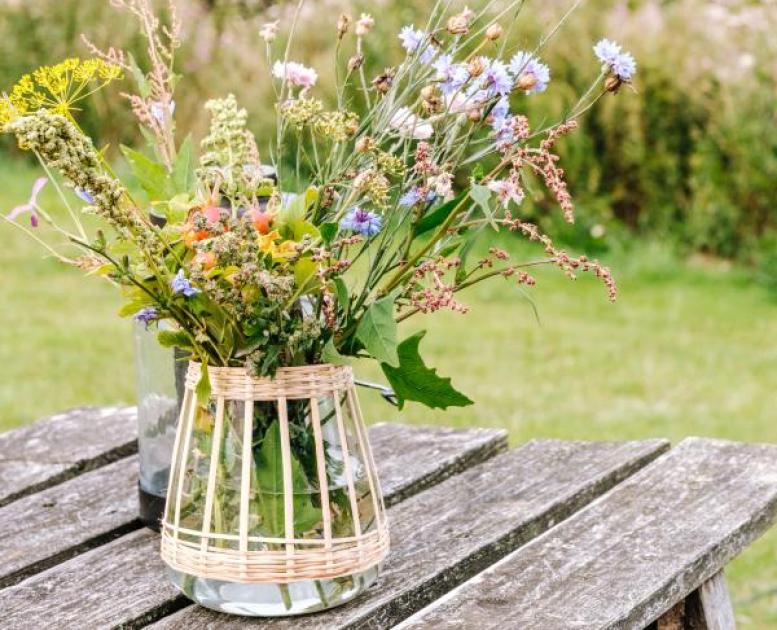 Blomster Camønoen Møn
