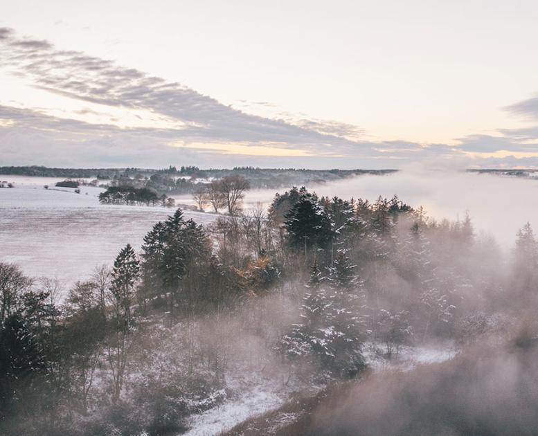 Susåen vinter