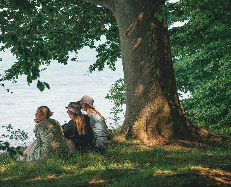 Feriepiloterne til havs - bøgeskov