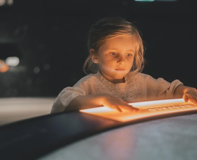 Stevns Klint Experience